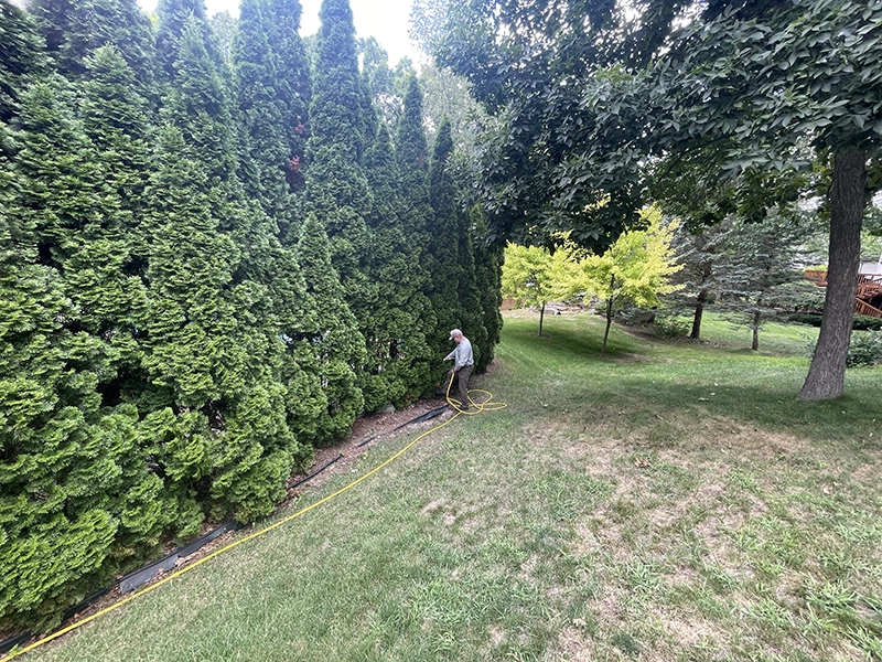 What Is Deep Root Fertilization In Milford MI