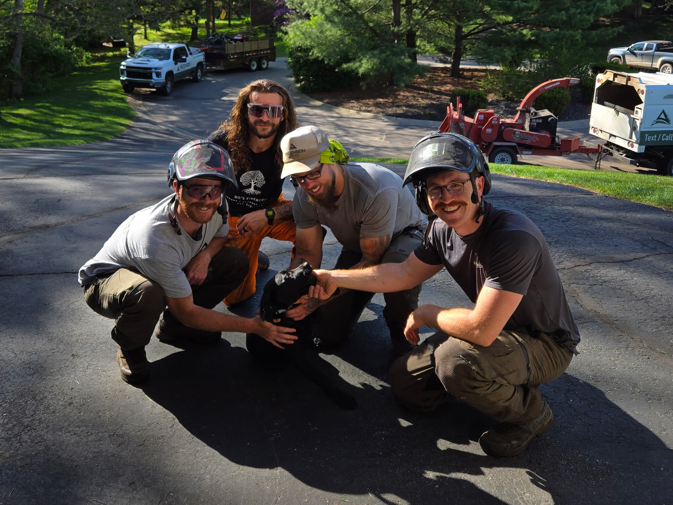 Root Collar Excavation Services