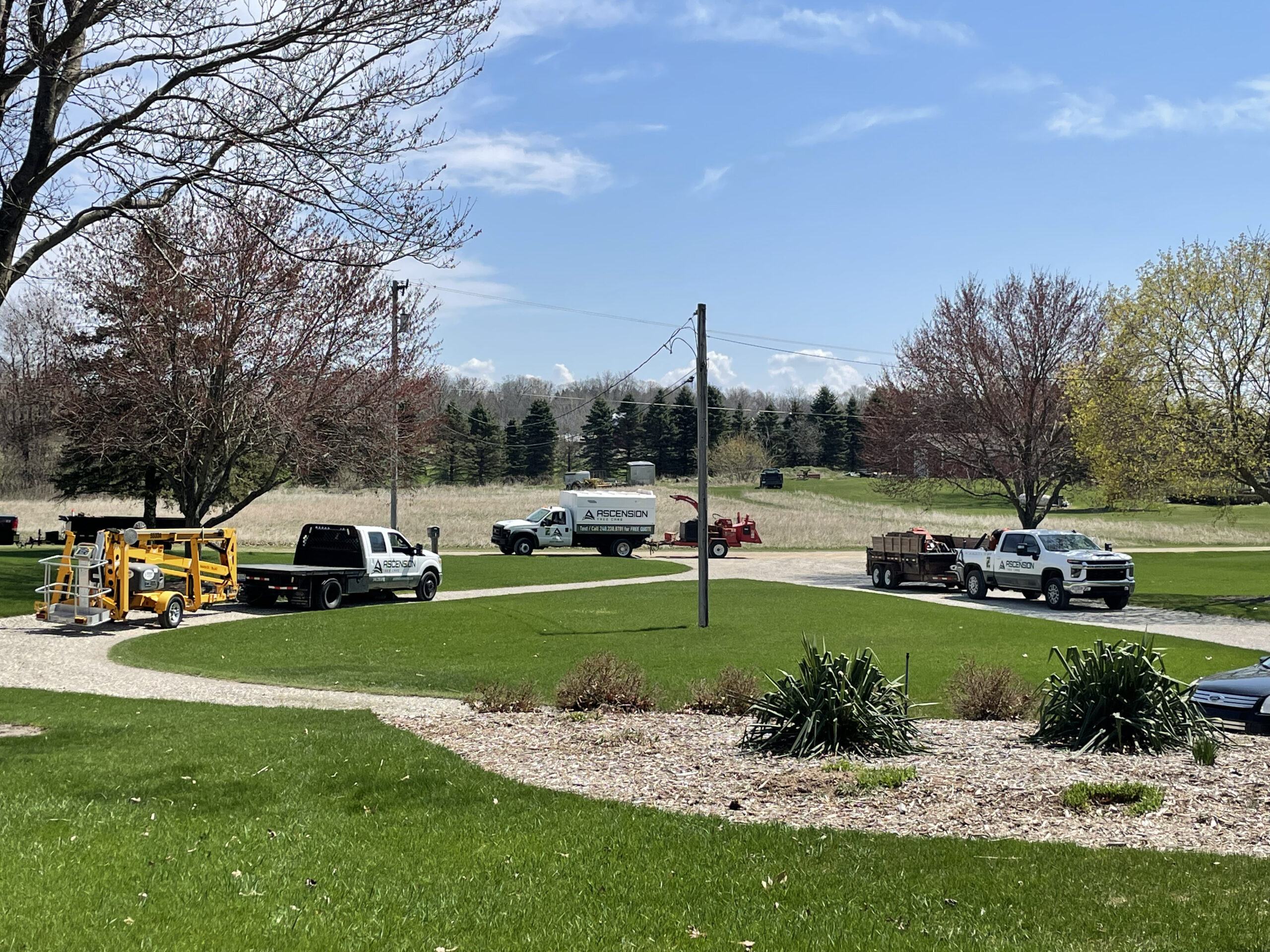 Seasonal Tree Care Checklist For Milford MI Homeowners