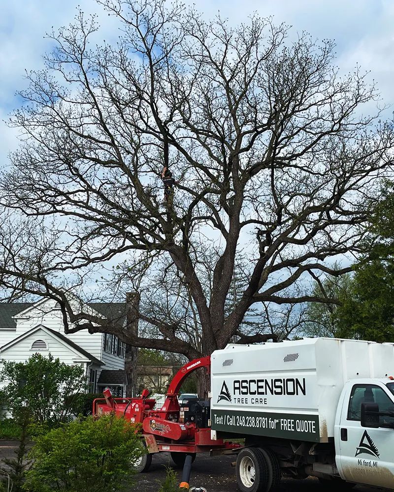 Ascension Tree Care PHC Programs