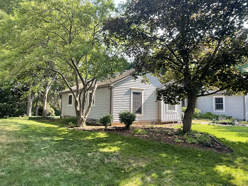 Plant Health Care Warning Signs